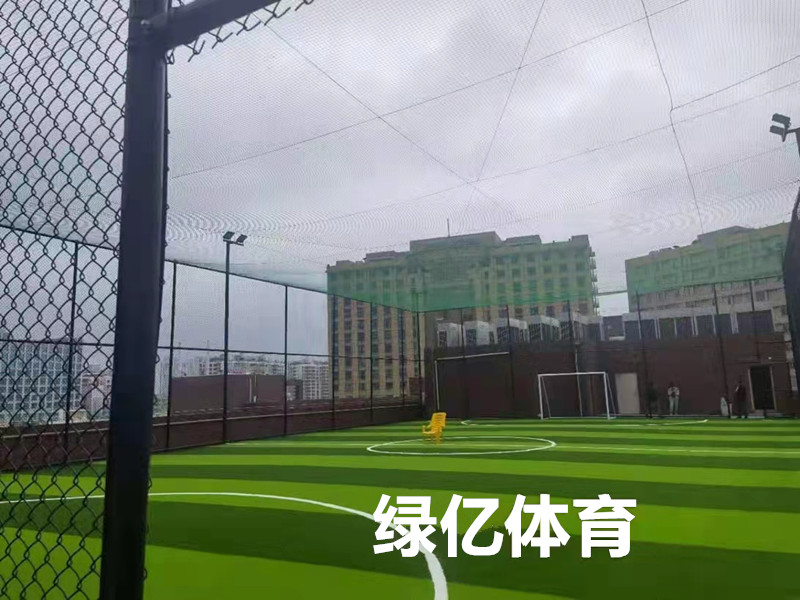 草坪足球場(chǎng)